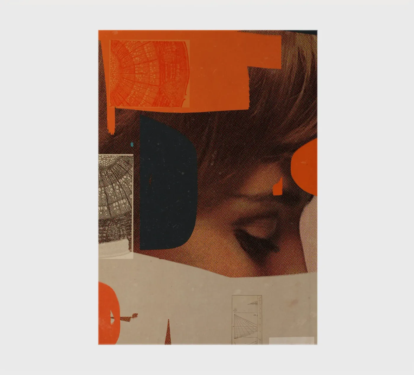 Does This still apply quaderno da Frank Moth