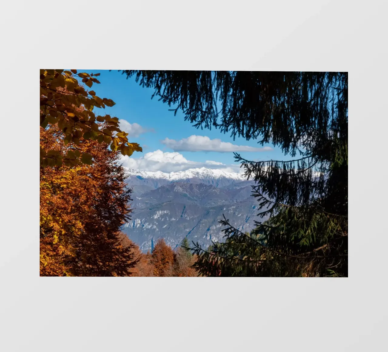 Snowy mountains and autumn colours pellicola backlit da anderm