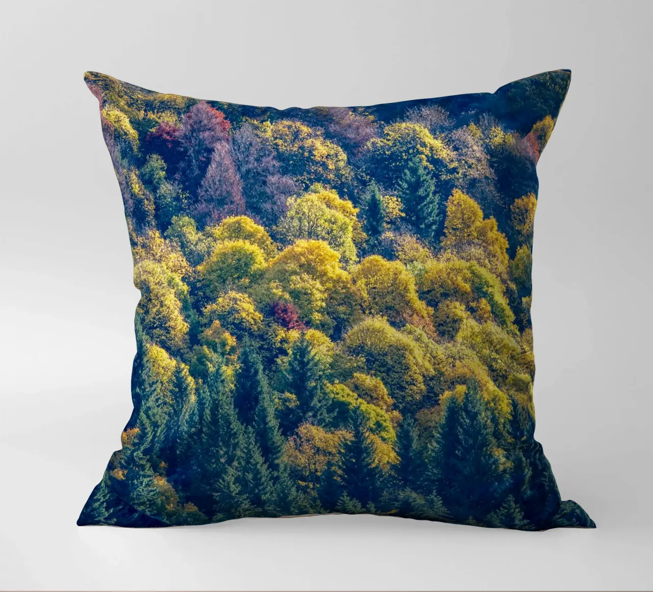 Colourful trees in a forest on a mountain cuscino da anderm