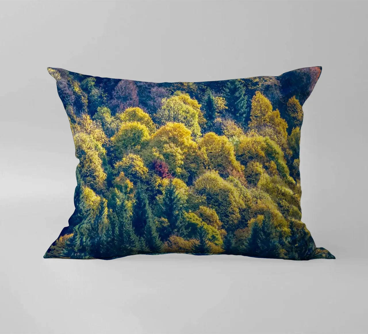 Colourful trees in a forest on a mountain cuscino da anderm