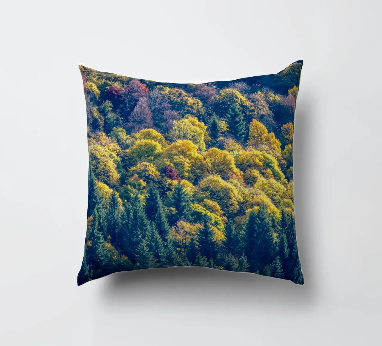 Colourful trees in a forest on a mountain cuscino da anderm