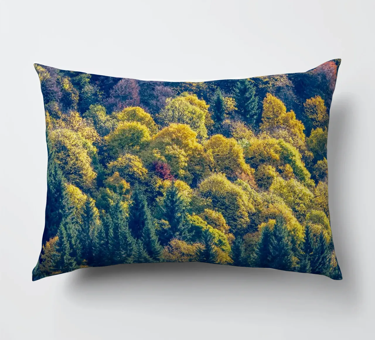 Colourful trees in a forest on a mountain cuscino da anderm