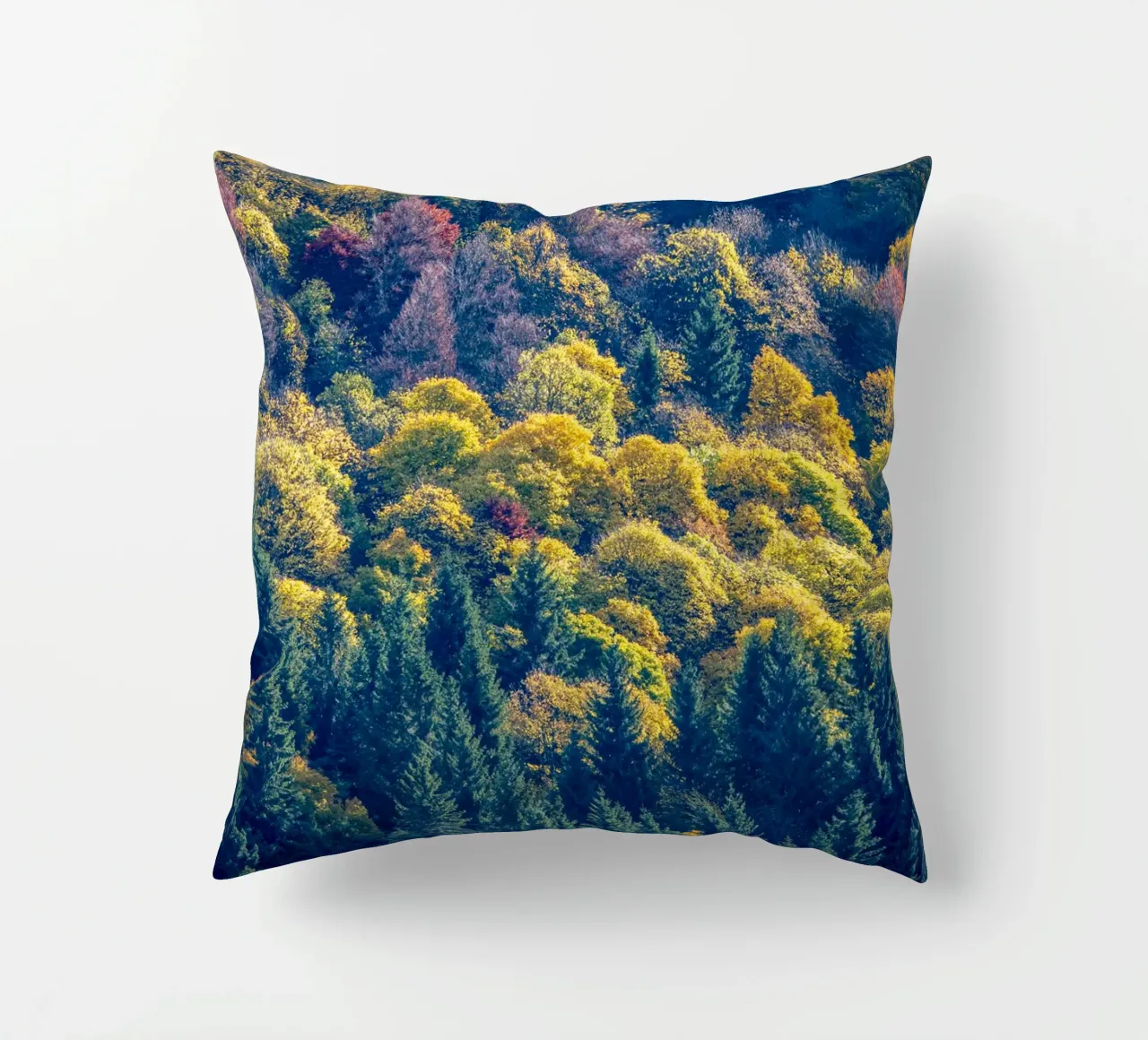 Colourful trees in a forest on a mountain cuscino da anderm