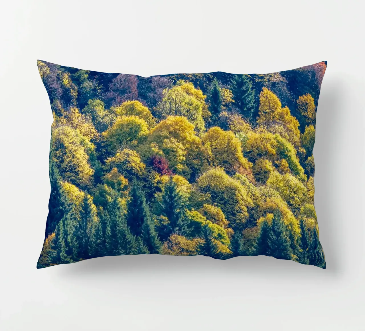 Colourful trees in a forest on a mountain cuscino da anderm