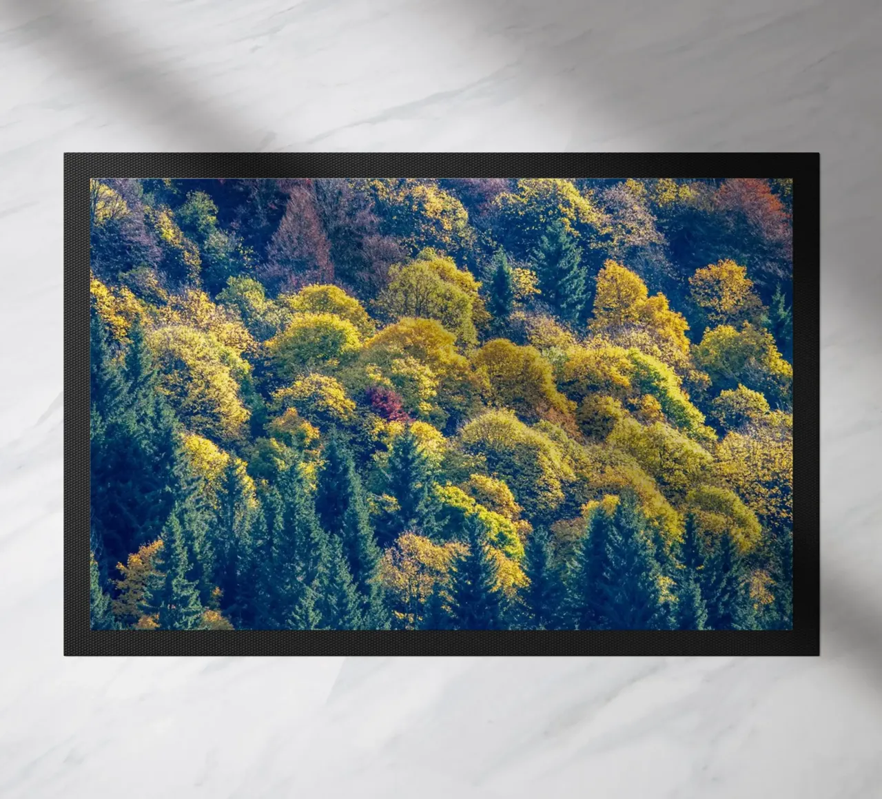 Colourful trees in a forest on a mountain zerbino da anderm