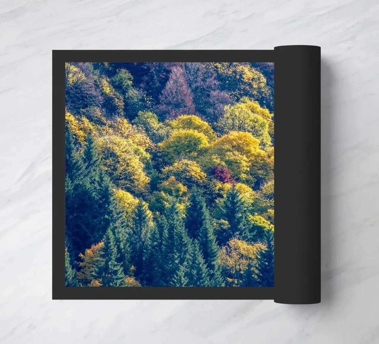 Colourful trees in a forest on a mountain zerbino da anderm
