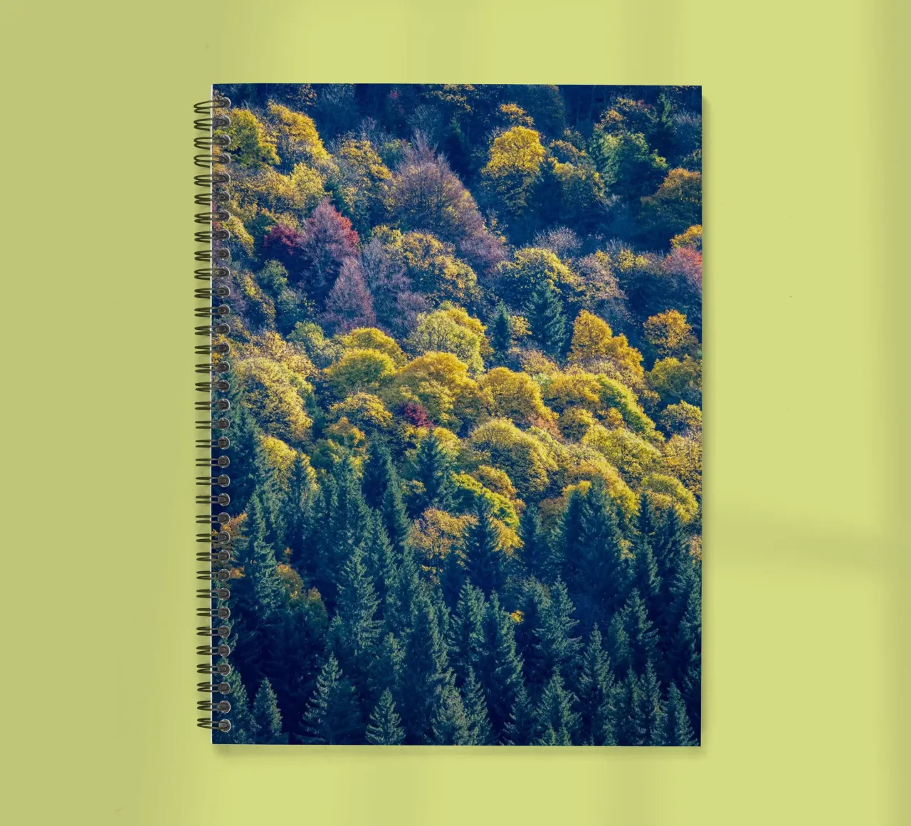Colourful trees in a forest on a mountain diario ad anelli da anderm