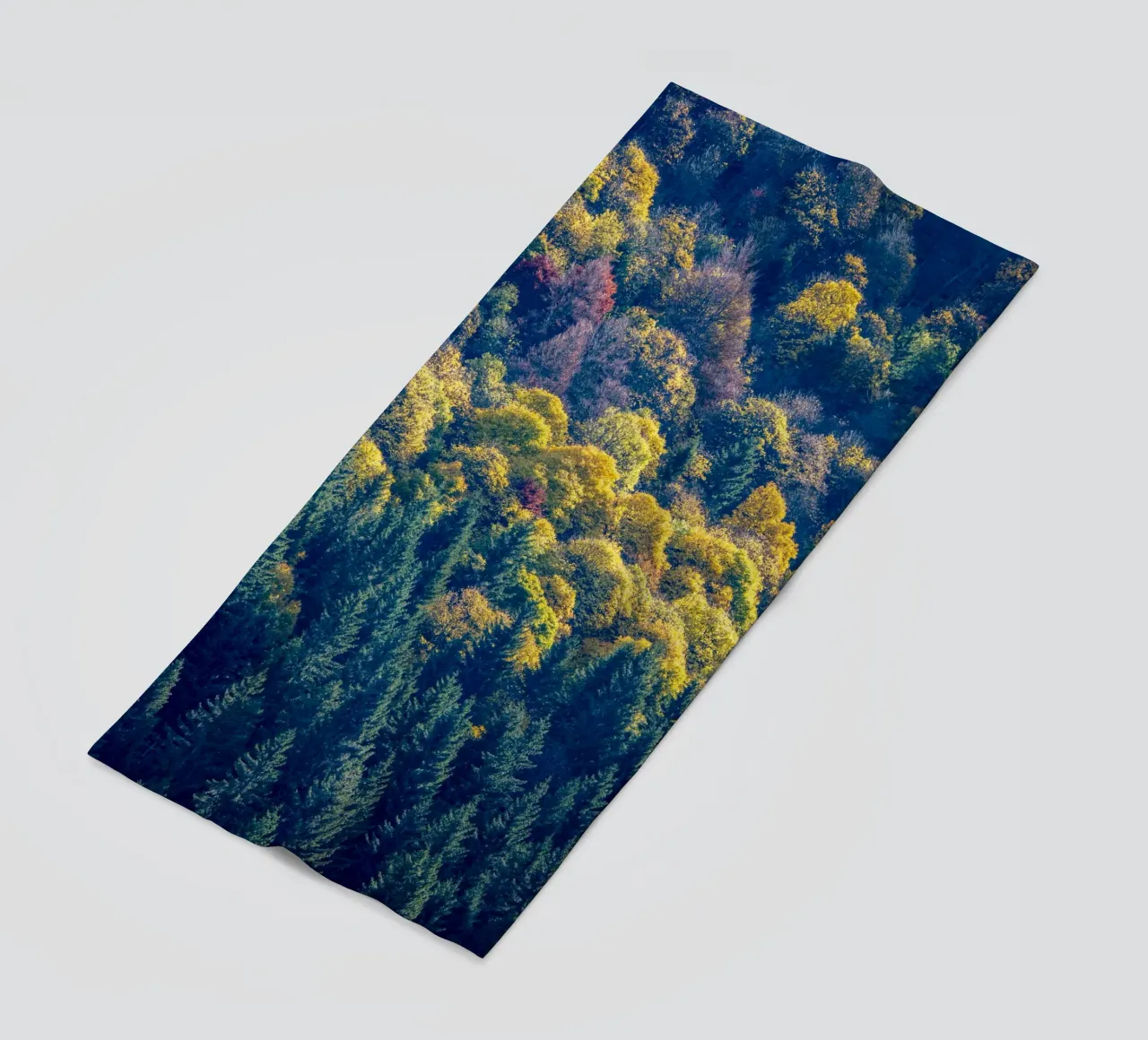 Colourful trees in a forest on a mountain telo mare da anderm