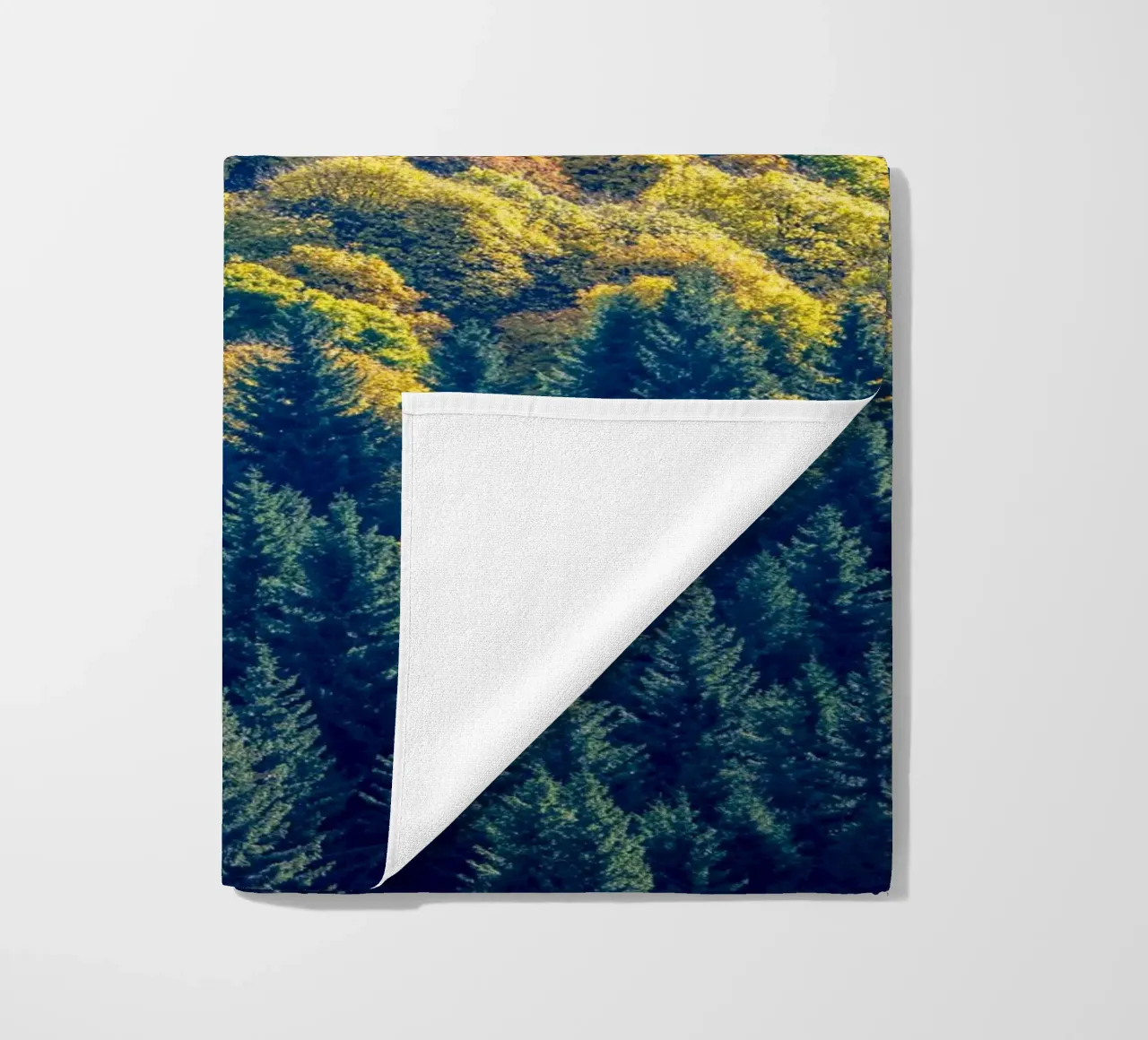 Colourful trees in a forest on a mountain telo mare da anderm