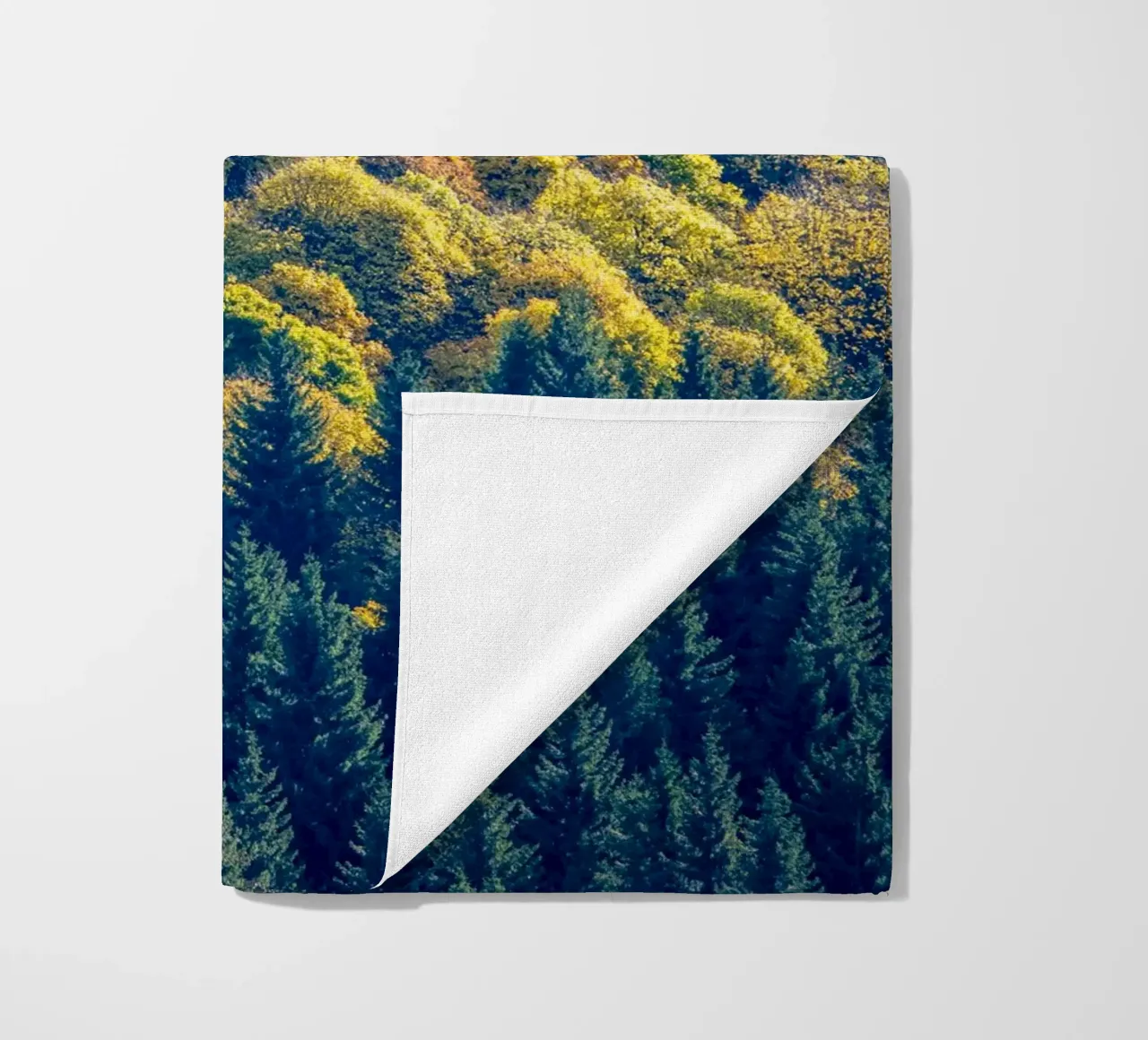 Colourful trees in a forest on a mountain telo mare da anderm