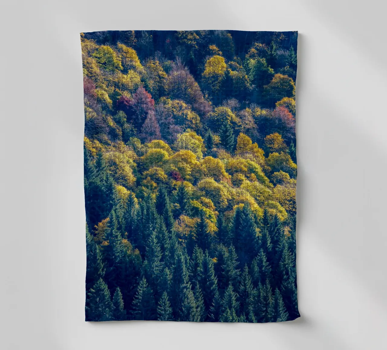 Colourful trees in a forest on a mountain canovaccio da cucina da anderm