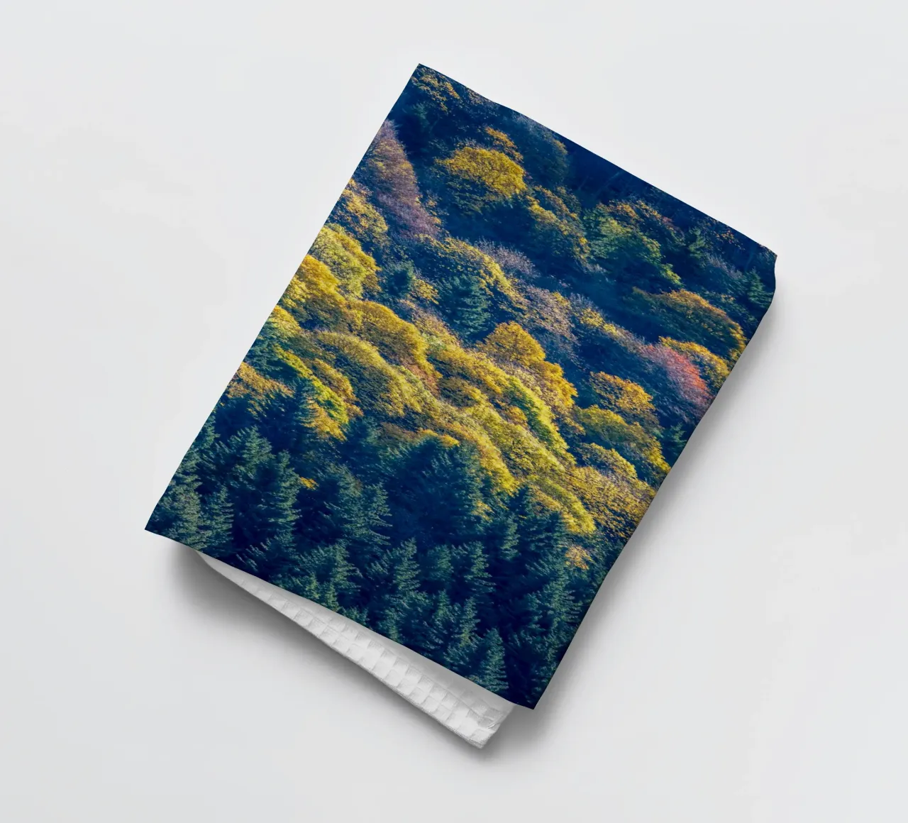 Colourful trees in a forest on a mountain canovaccio da cucina da anderm