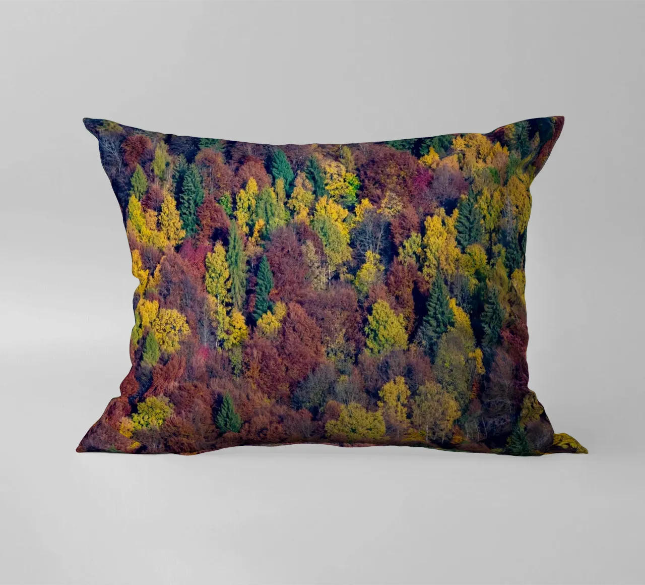 Colourful trees in a forest on a mountain cuscino da anderm