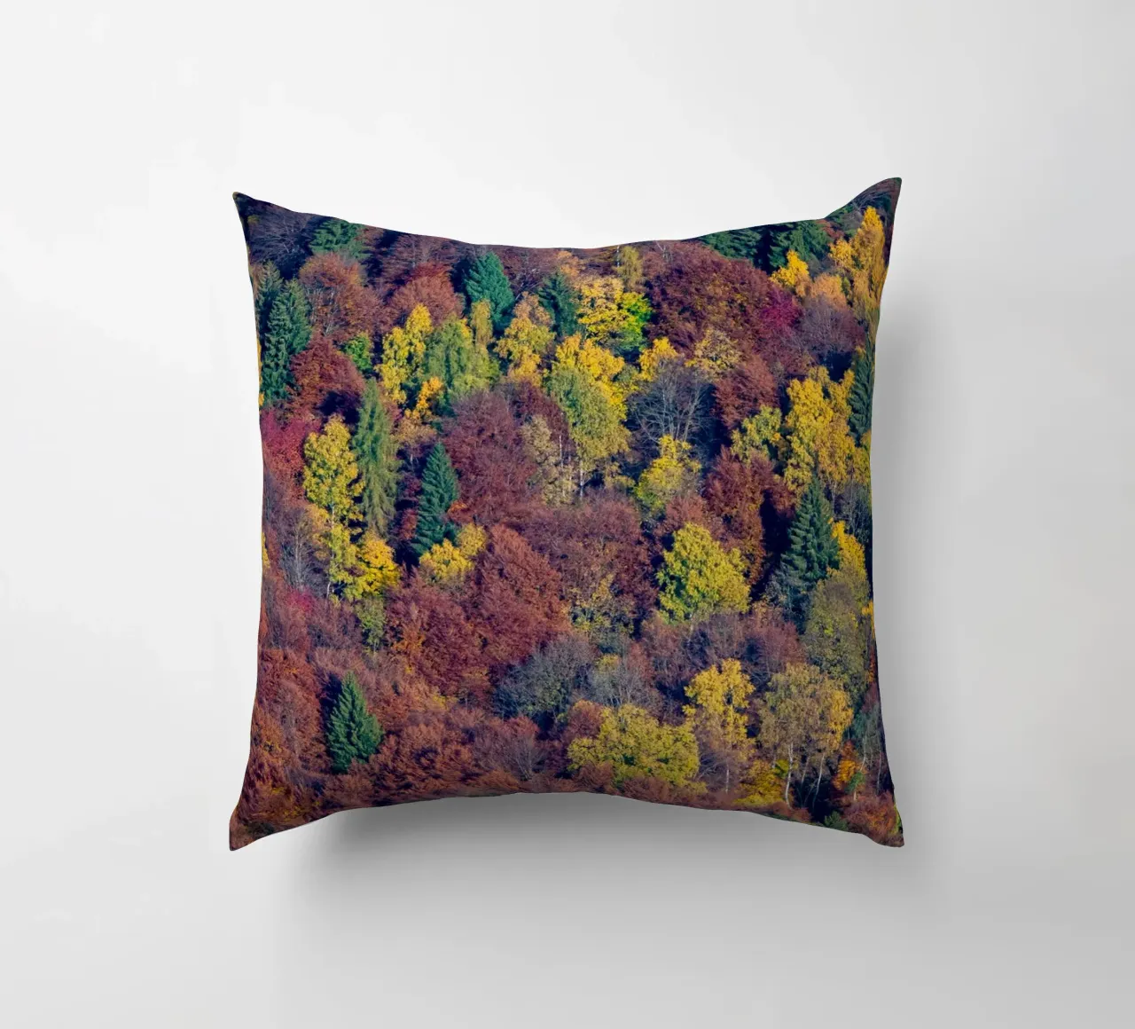 Colourful trees in a forest on a mountain cuscino da anderm