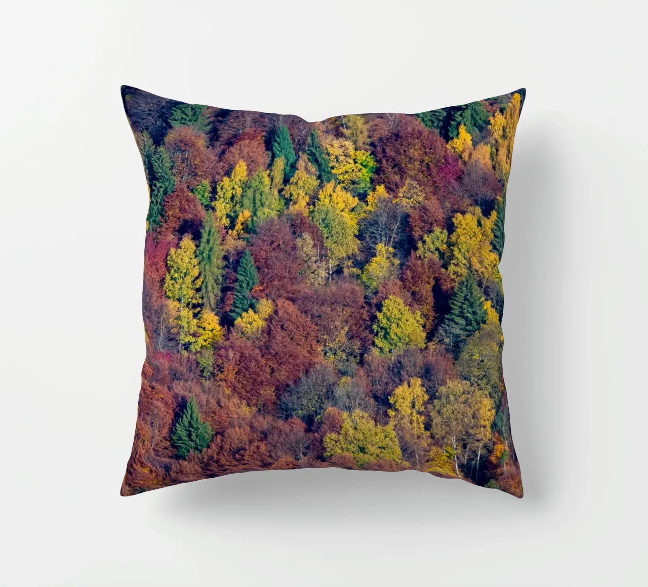 Colourful trees in a forest on a mountain cuscino da anderm