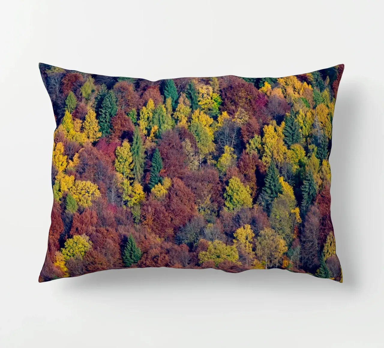 Colourful trees in a forest on a mountain cuscino da anderm