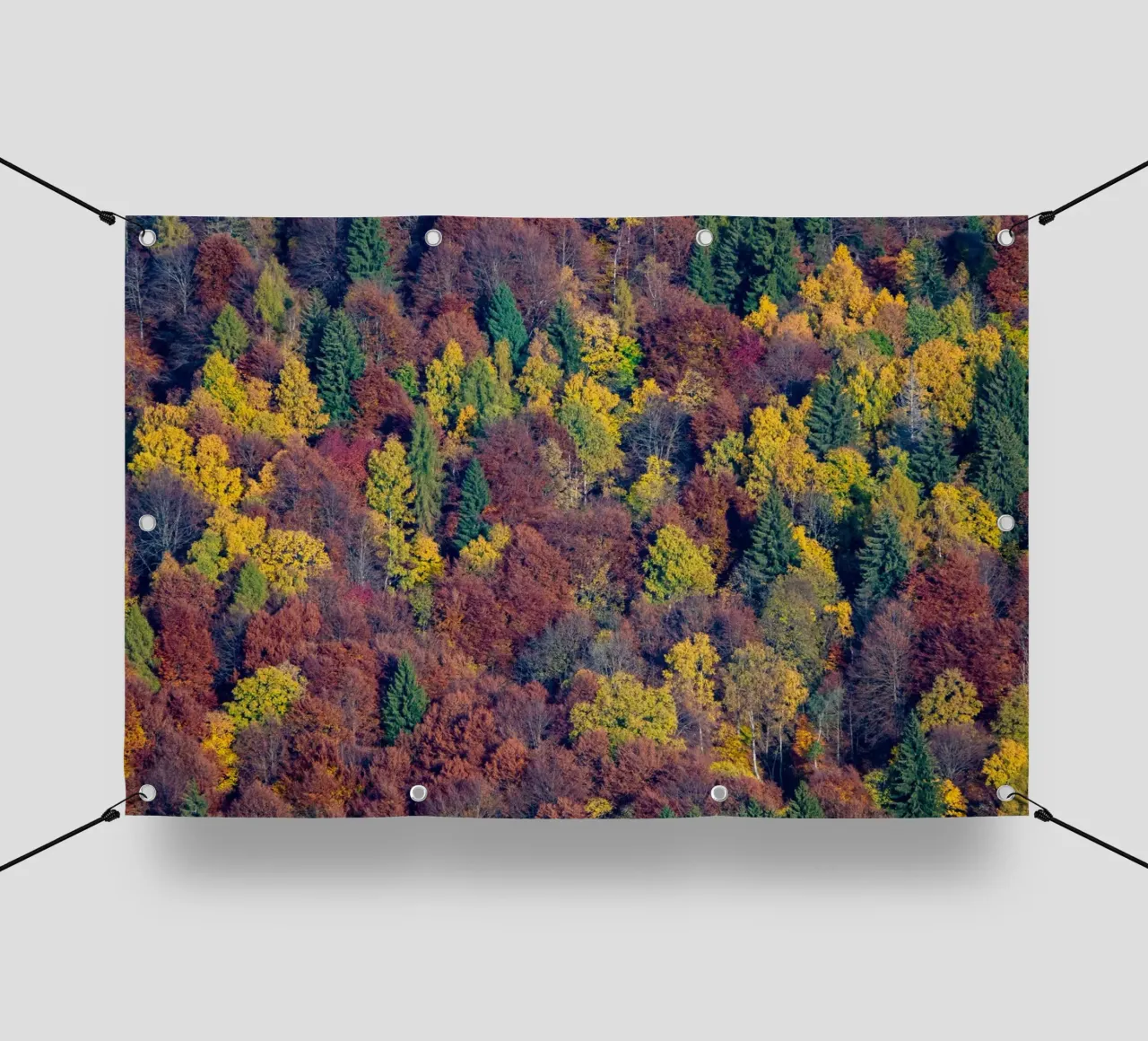 Colourful trees in a forest on a mountain telo in pvc da anderm