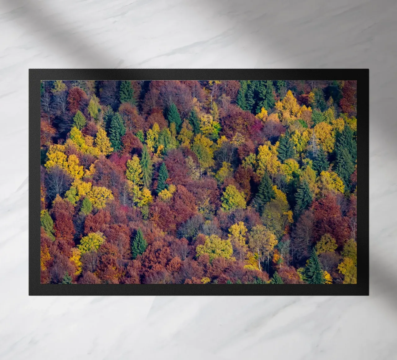 Colourful trees in a forest on a mountain zerbino da anderm