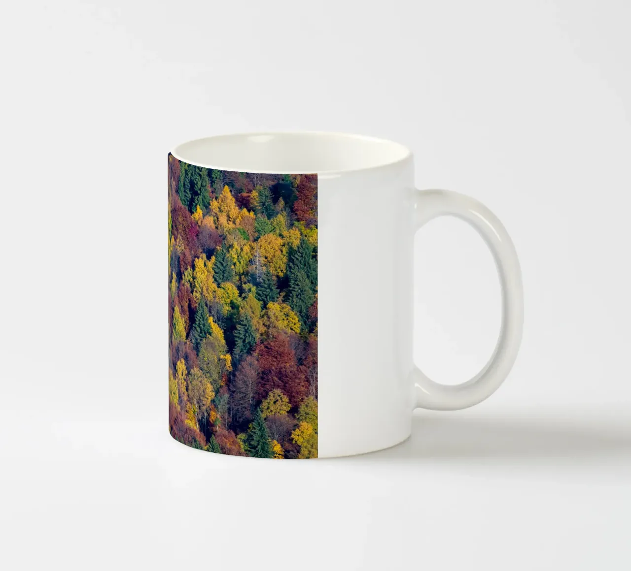 Colourful trees in a forest on a mountain tazza in ceramica da anderm