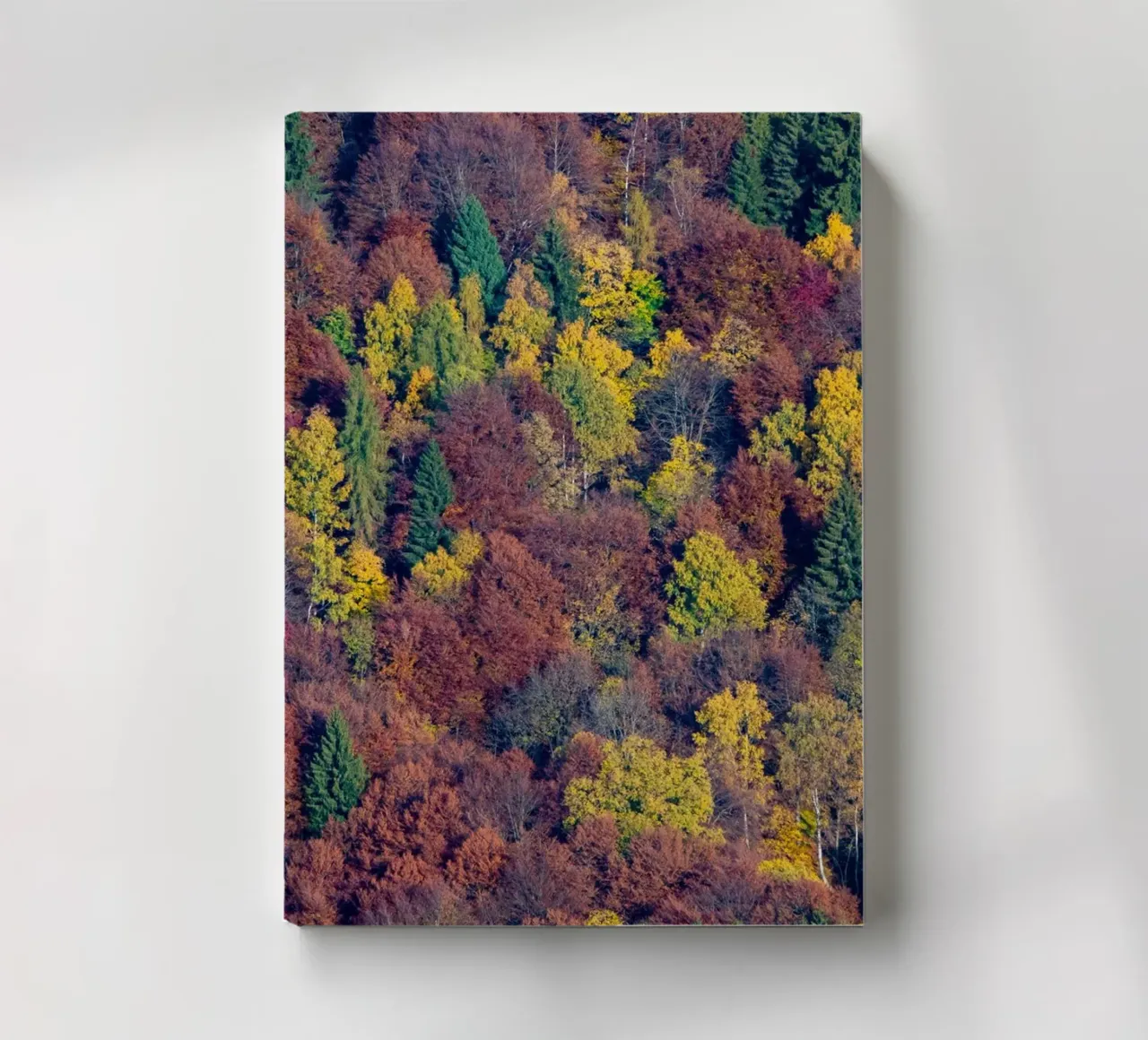 Colourful trees in a forest on a mountain notebook by anderm