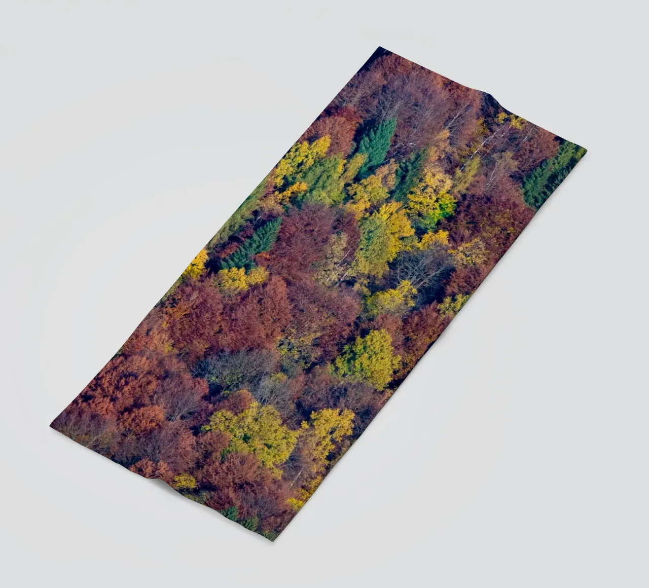 Colourful trees in a forest on a mountain telo mare da anderm