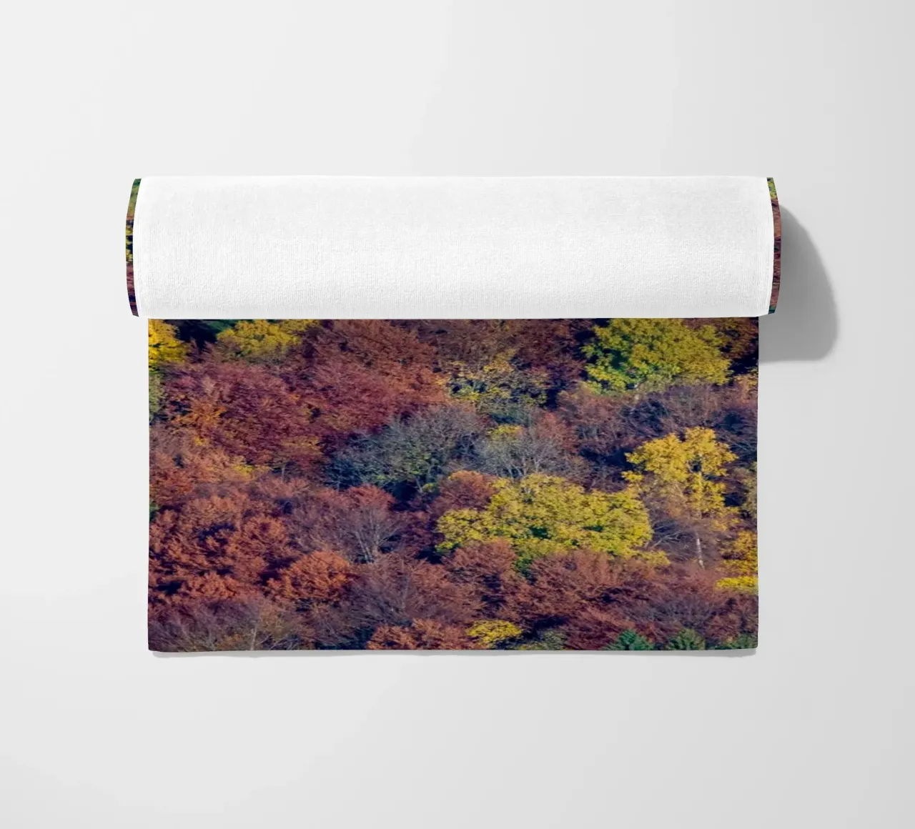 Colourful trees in a forest on a mountain telo mare da anderm