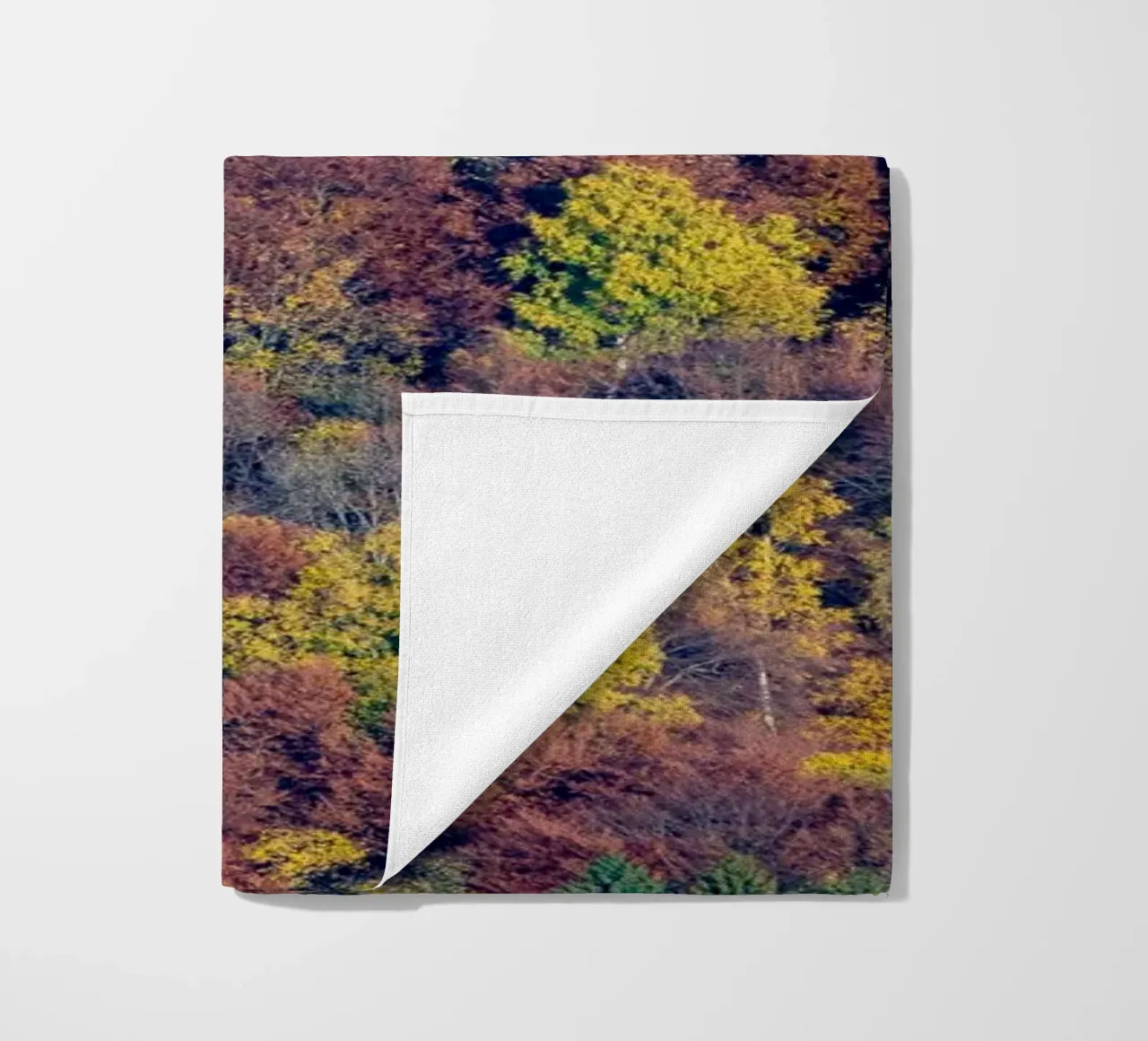 Colourful trees in a forest on a mountain telo mare da anderm