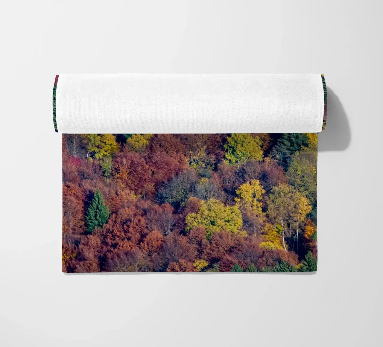 Colourful trees in a forest on a mountain telo mare da anderm