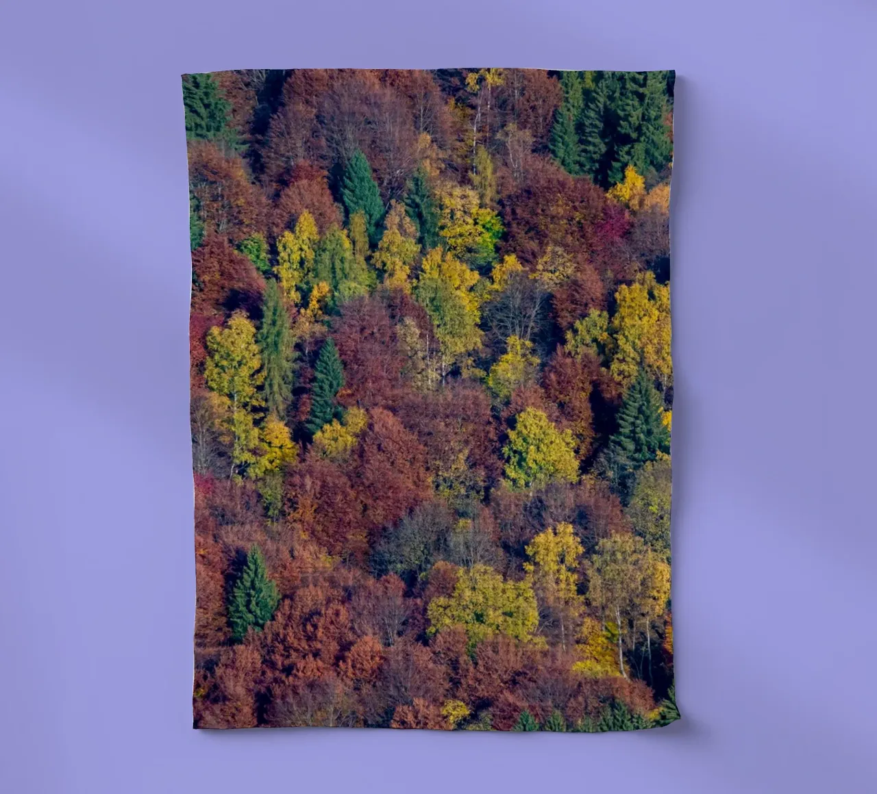Colourful trees in a forest on a mountain canovaccio da cucina da anderm