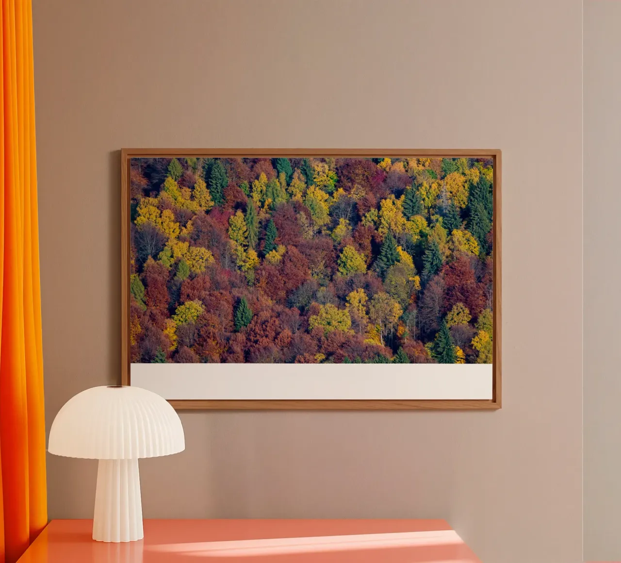 Colourful trees in a forest on a mountain alluminio dibond da anderm