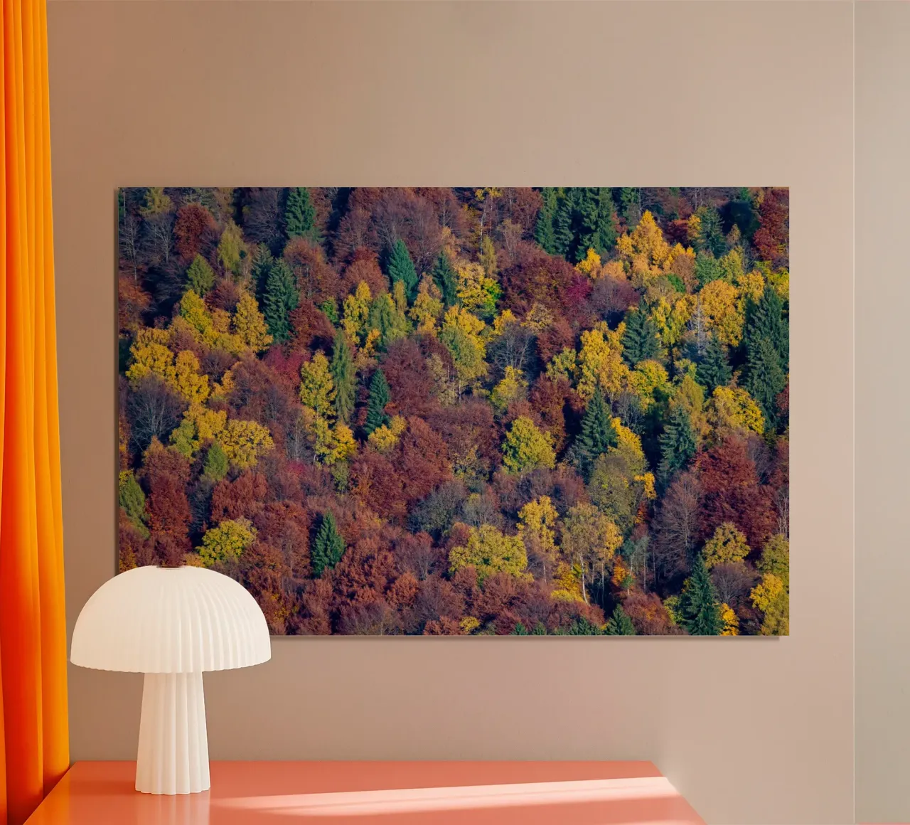 Colourful trees in a forest on a mountain carta hahnemühle da anderm