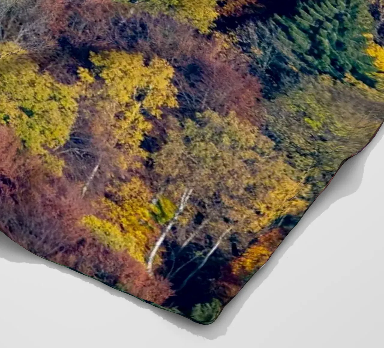 Colourful trees in a forest on a mountain coperta in pile da anderm