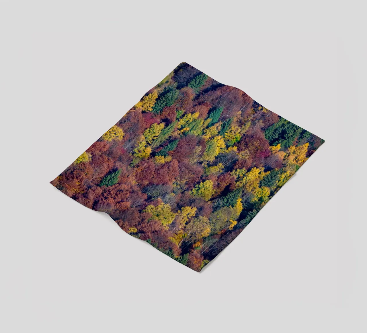 Colourful trees in a forest on a mountain coperta in pile da anderm