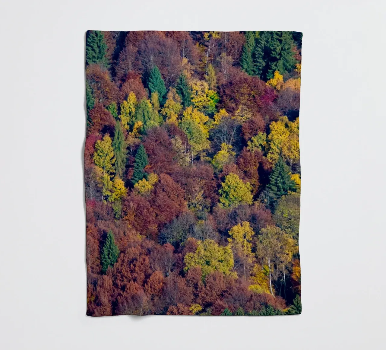 Colourful trees in a forest on a mountain coperta in pile da anderm