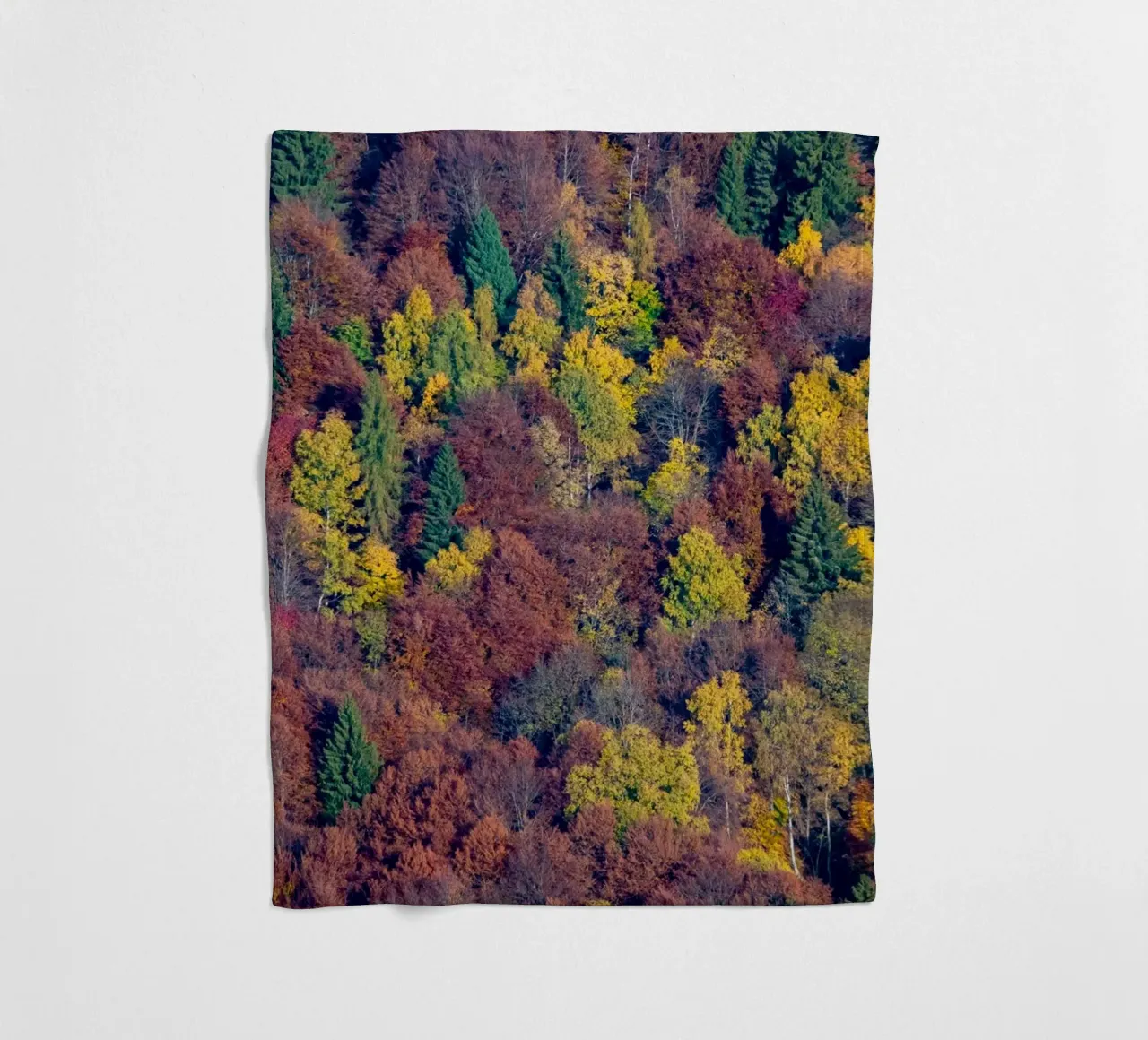 Colourful trees in a forest on a mountain coperta in pile da anderm