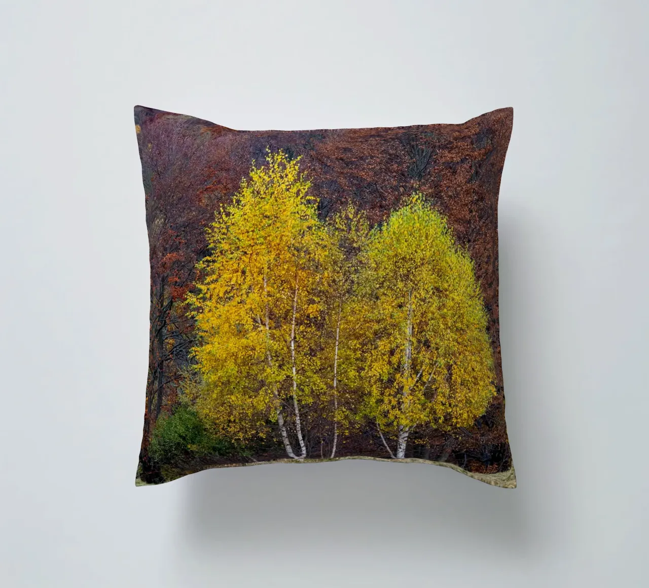 Colourful trees in a forest on a mountain cuscino da anderm