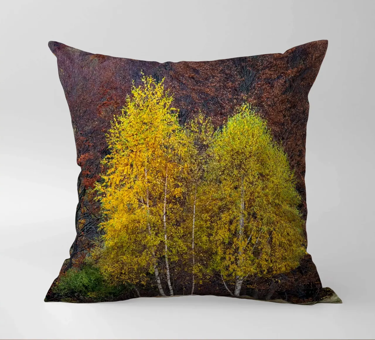 Colourful trees in a forest on a mountain cuscino da anderm