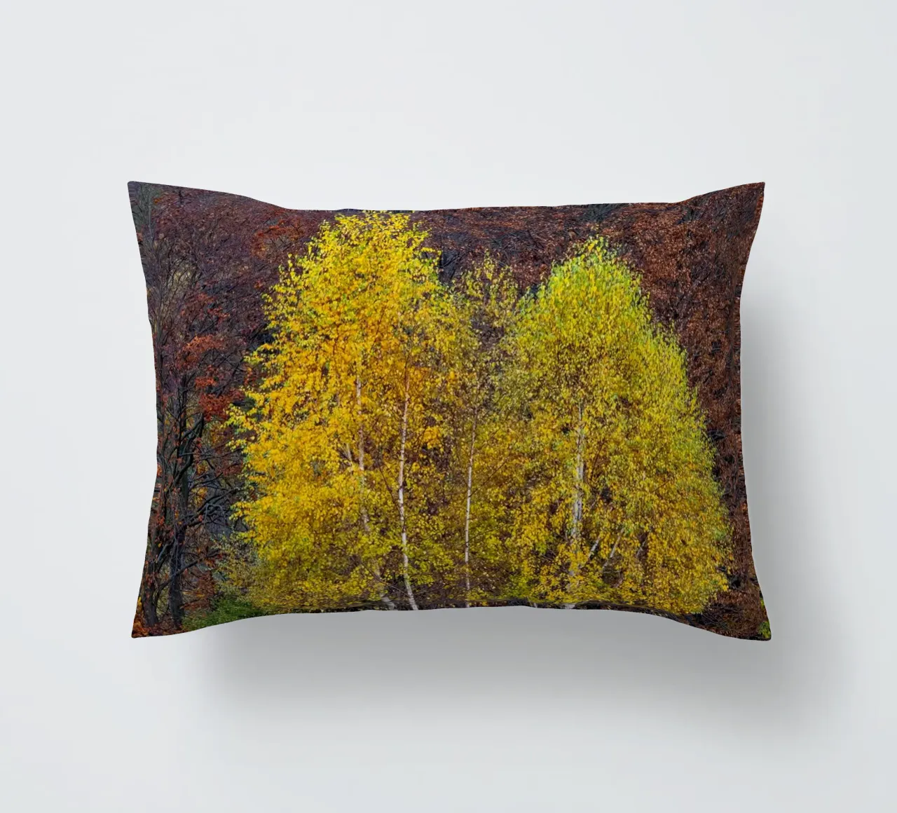 Colourful trees in a forest on a mountain cuscino da anderm