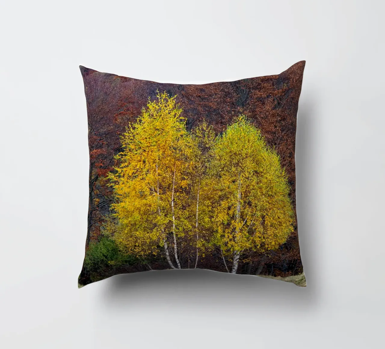 Colourful trees in a forest on a mountain cuscino da anderm