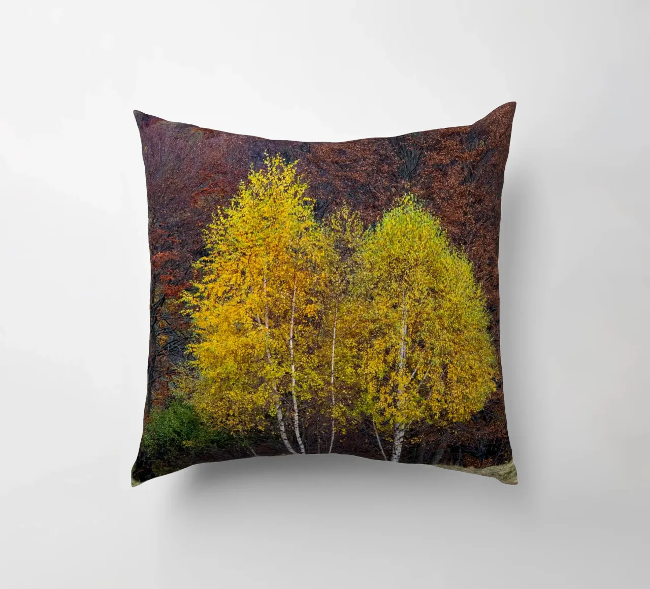 Colourful trees in a forest on a mountain cuscino da anderm