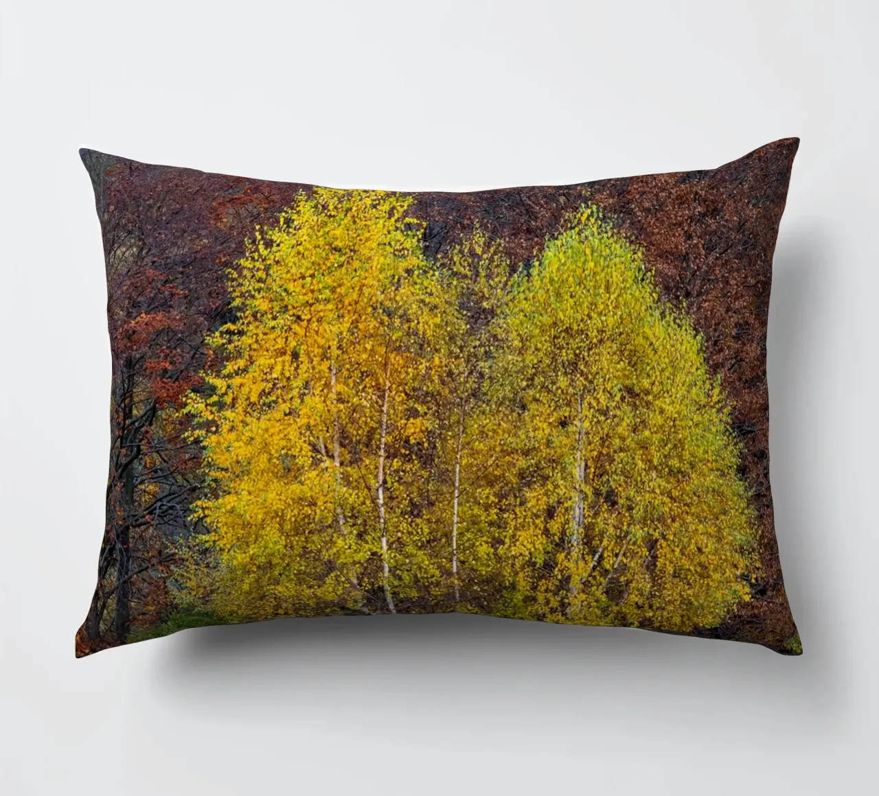 Colourful trees in a forest on a mountain cuscino da anderm