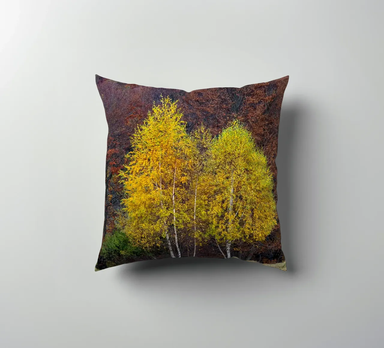 Colourful trees in a forest on a mountain cuscino da anderm