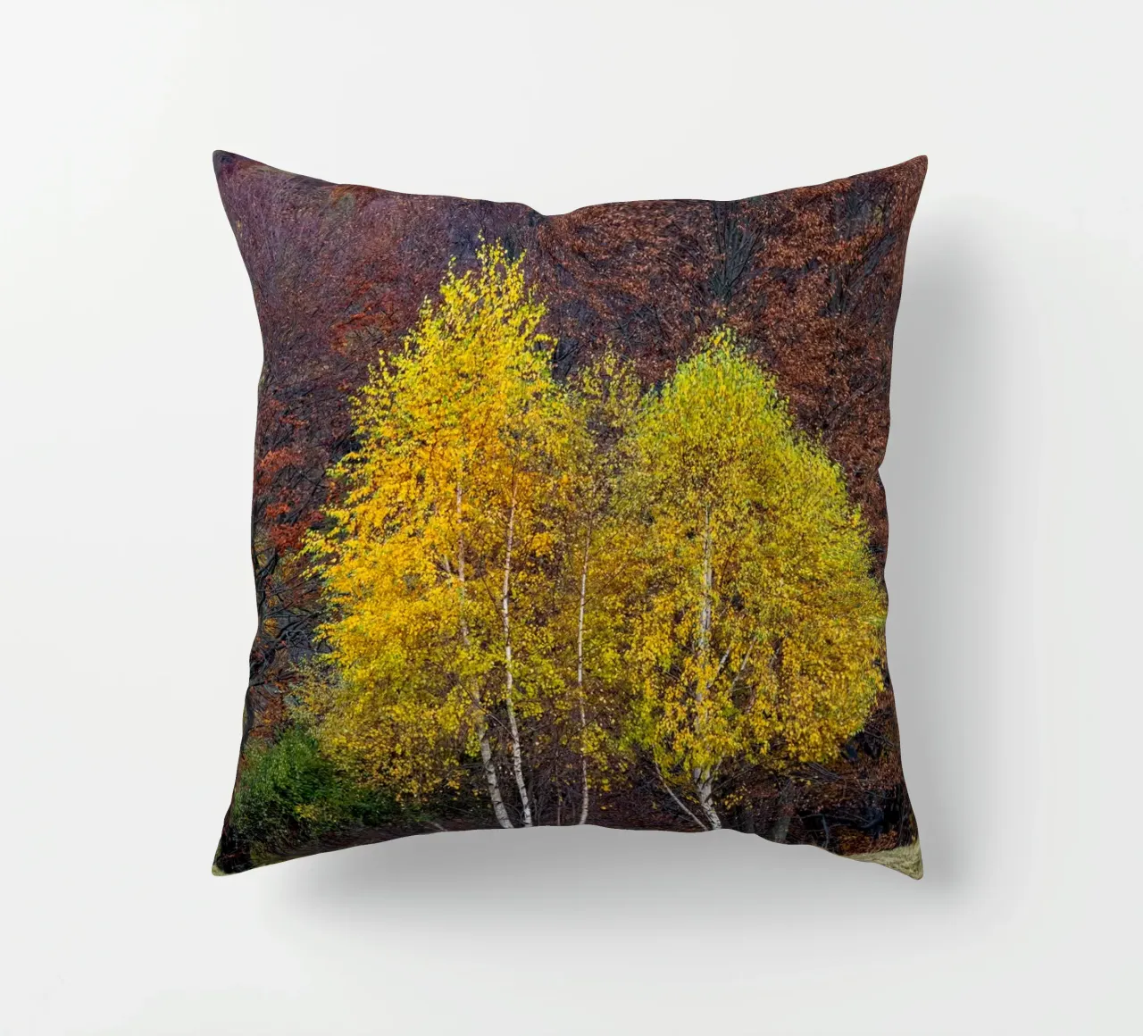 Colourful trees in a forest on a mountain cuscino da anderm