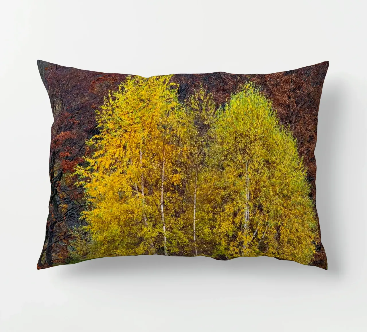 Colourful trees in a forest on a mountain cuscino da anderm