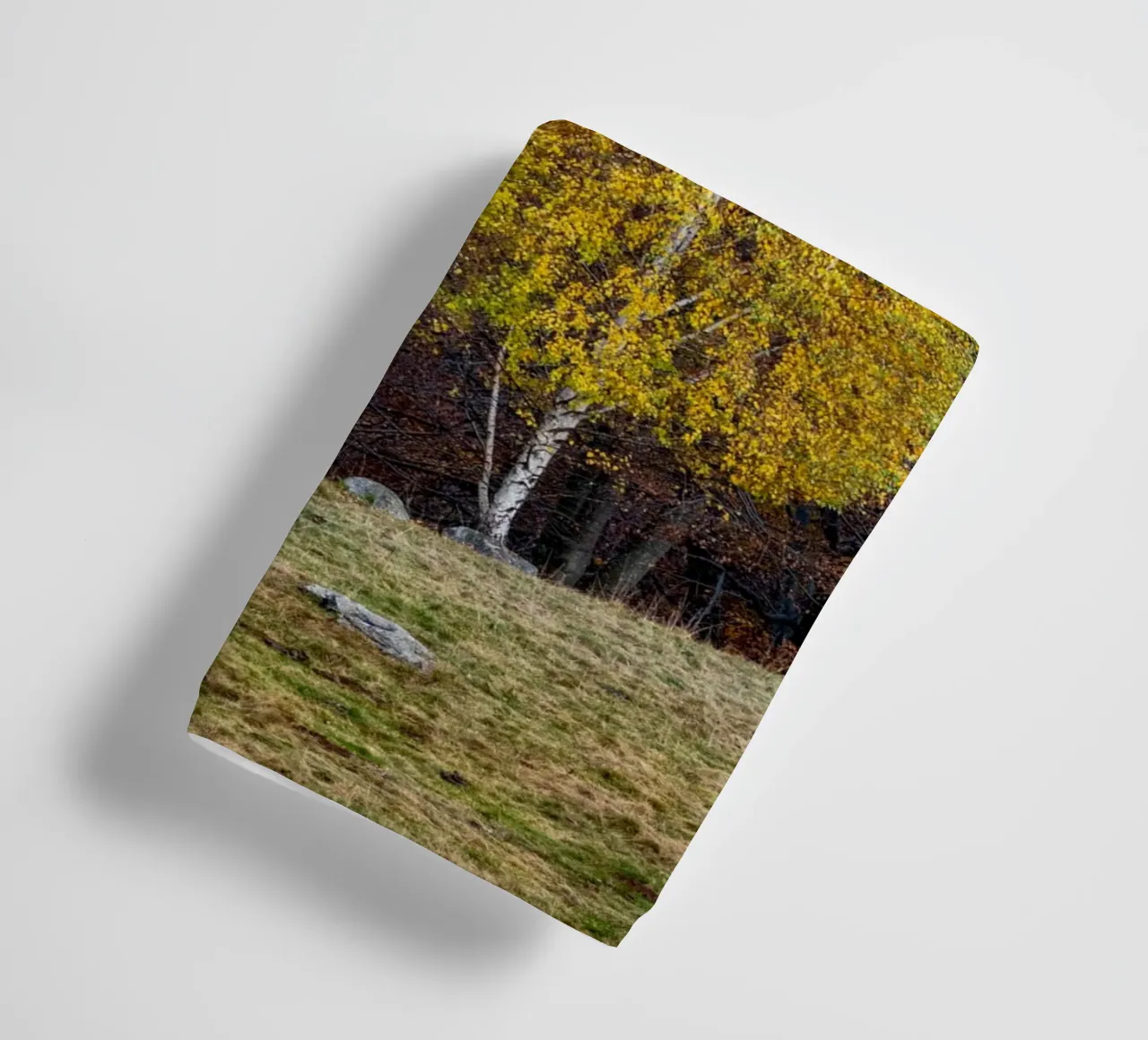 Colourful trees in a forest on a mountain asciugamano da bagno da anderm