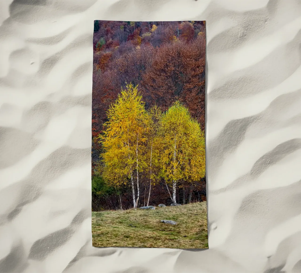 Colourful trees in a forest on a mountain telo mare da anderm