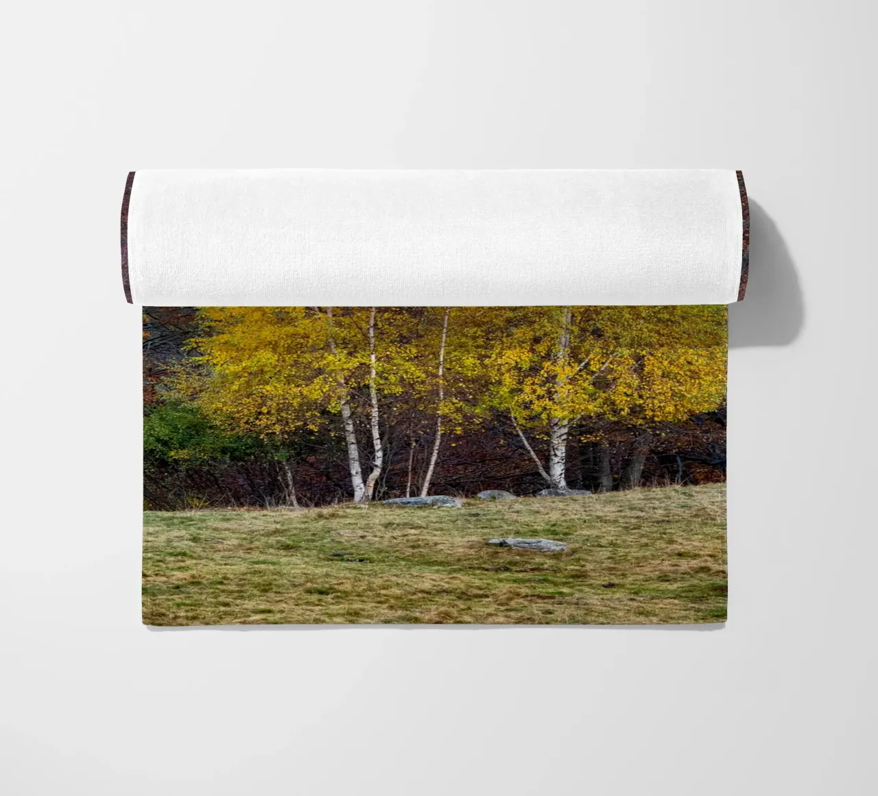 Colourful trees in a forest on a mountain telo mare da anderm