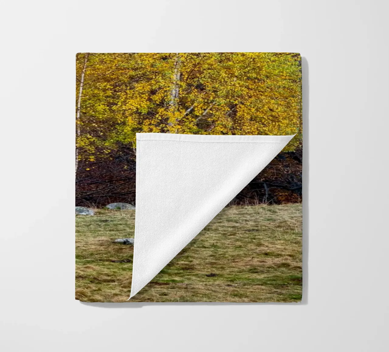 Colourful trees in a forest on a mountain telo mare da anderm