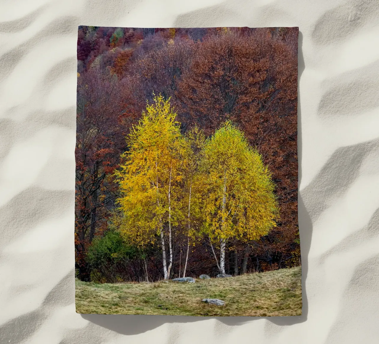 Colourful trees in a forest on a mountain telo mare da anderm