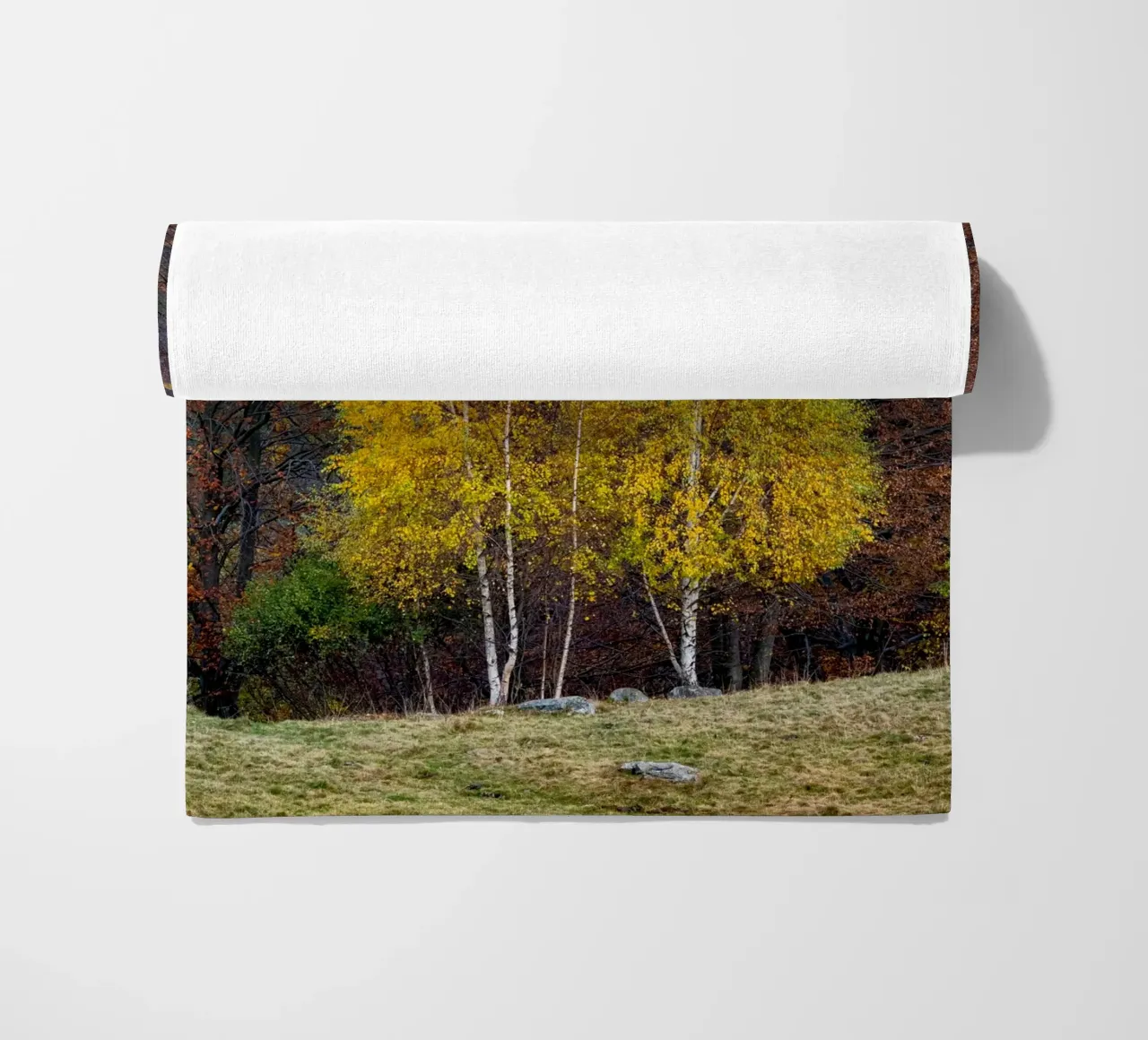 Colourful trees in a forest on a mountain telo mare da anderm